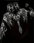 a2b6c40c7ceeb5ee6ad119e701619dd9